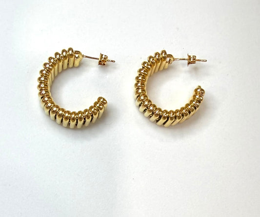 Dakota earrings